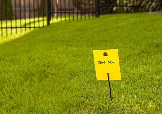 Affichette Weed Man dans la pelouse 
